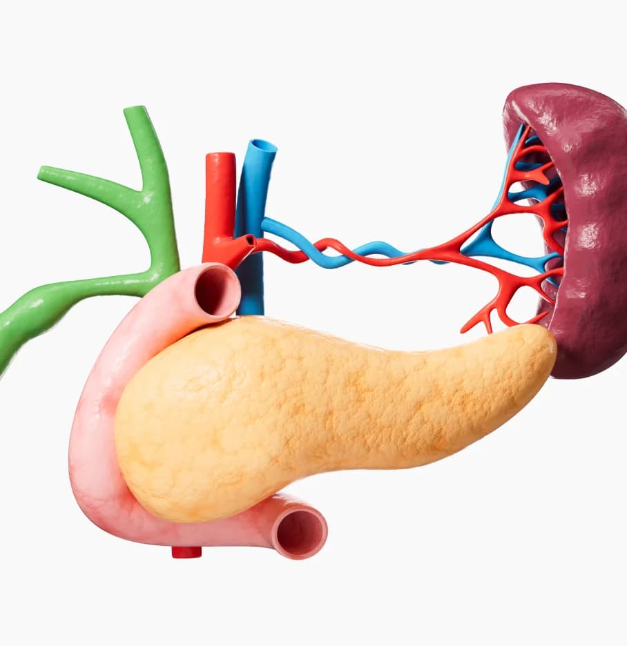 Pancreatology